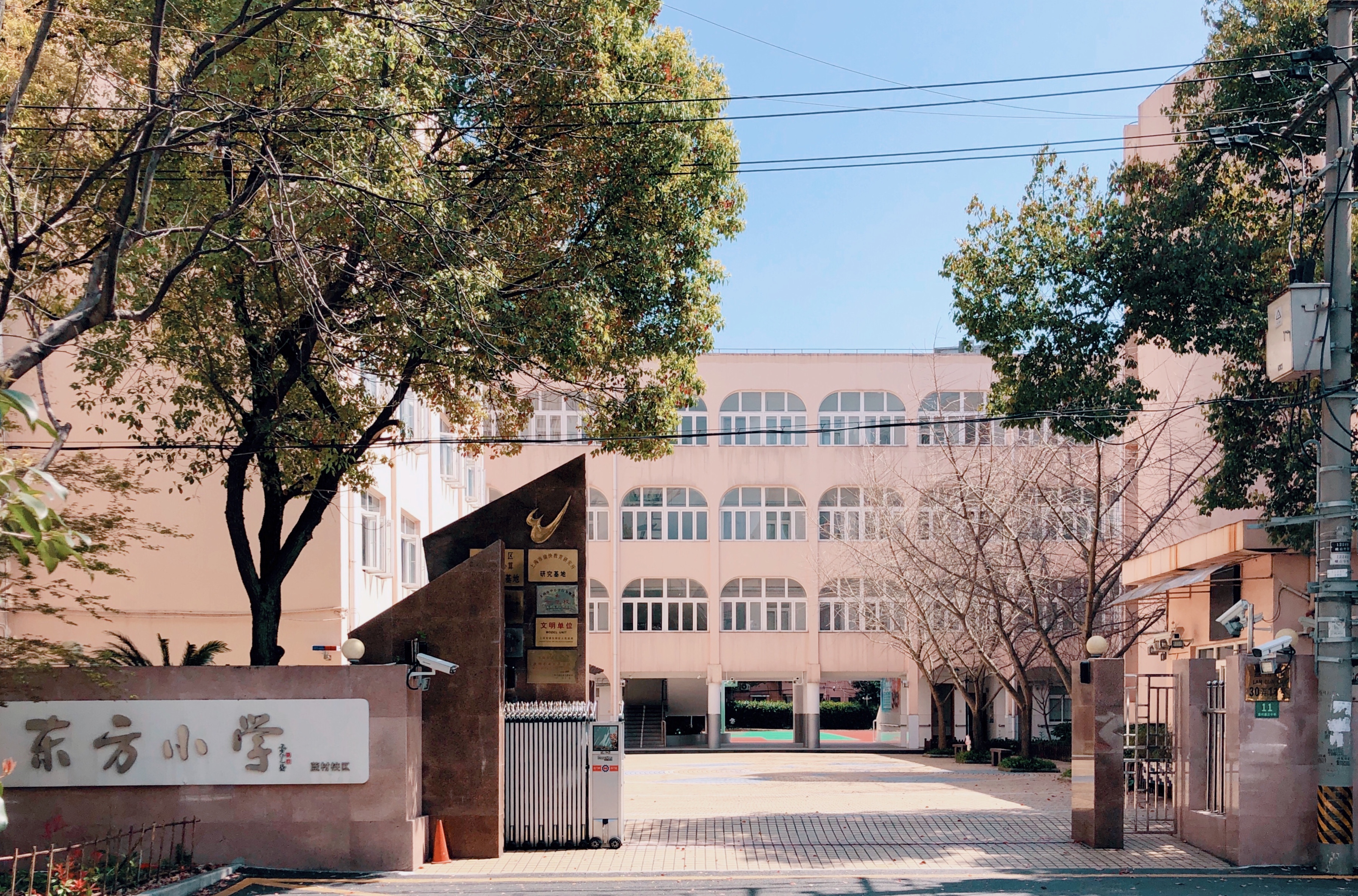 师资水平-上海市浦东新区东方小学