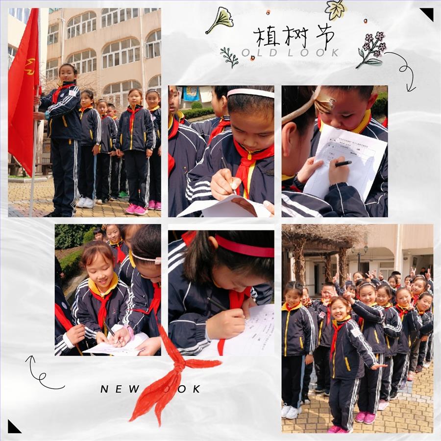 2019年3月11日部分队员参与“我为社区添绿植”家门口服务活动 (2).jpg 2019年3月11日部分队员参与“我为社区添绿植”家门口服务活动 (2).jpg