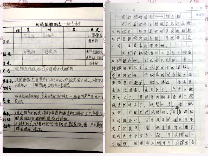 图8.jpg 图8.jpg
