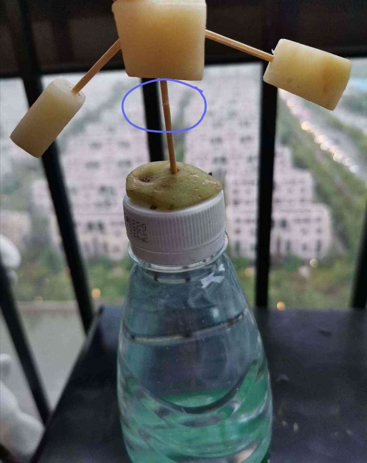 (图8)懿德校区四4班 汪小兰.png (图8)懿德校区四4班 汪小兰.png