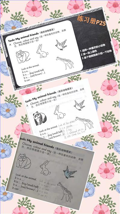图3.jpg 图3.jpg