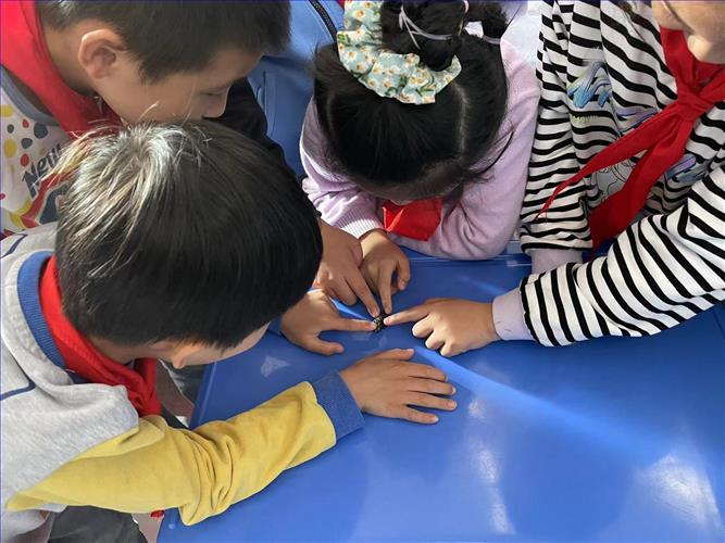 图13.jpg 图13.jpg