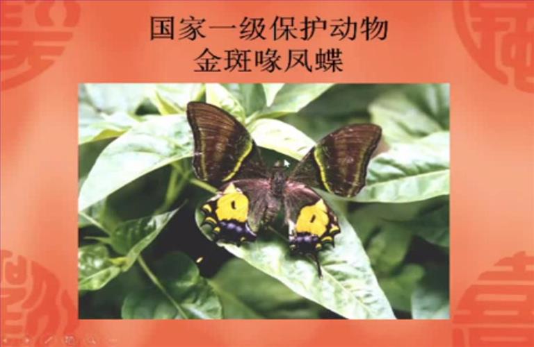 图5.jpg 图5.jpg