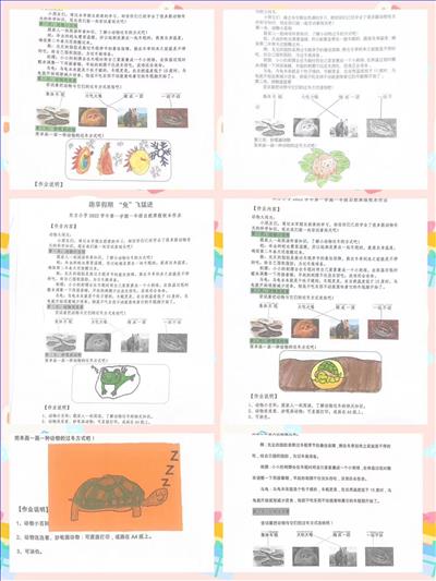 图9.jpg 图9.jpg