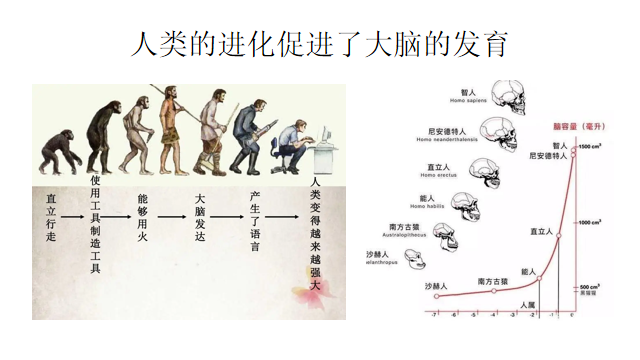 图1-1.png