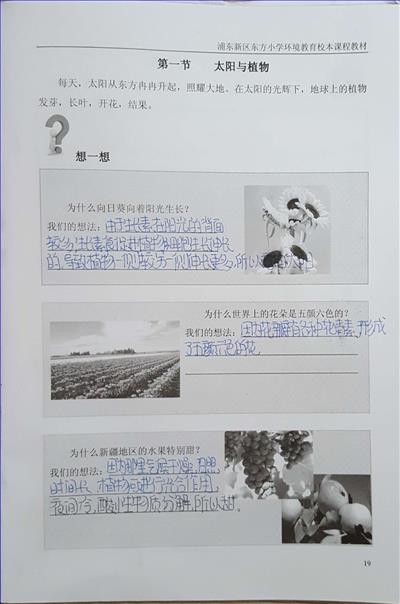 活动四:太阳与动植物.jpg 活动四:太阳与动植物.jpg