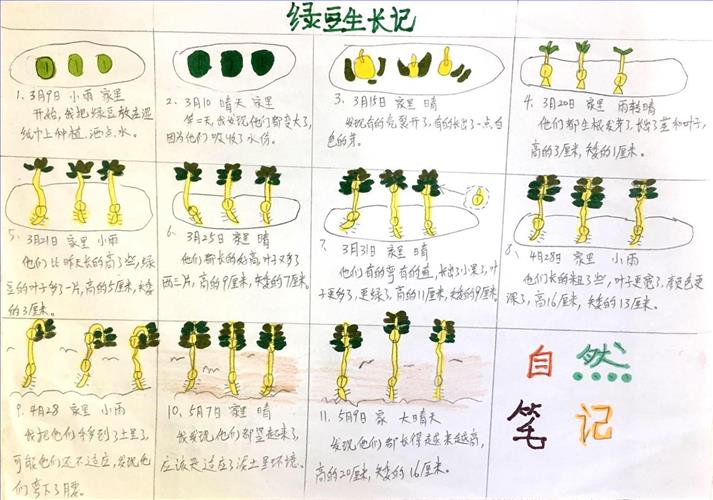 微信图片_20201023132455.jpg 微信图片_20201023132455.jpg